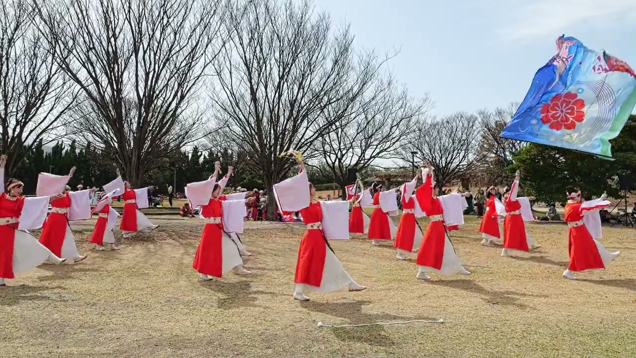 しおさい公園　パンパラダイス｜愛媛県松山市のよさこいチーム　愛・彩媛【2月23日】