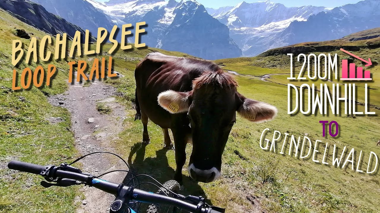 Bachalpsee Loop MTB Trail | Fun 9KM Ride 1200M Elevation Drop & Stunning Views (Grindelwald)