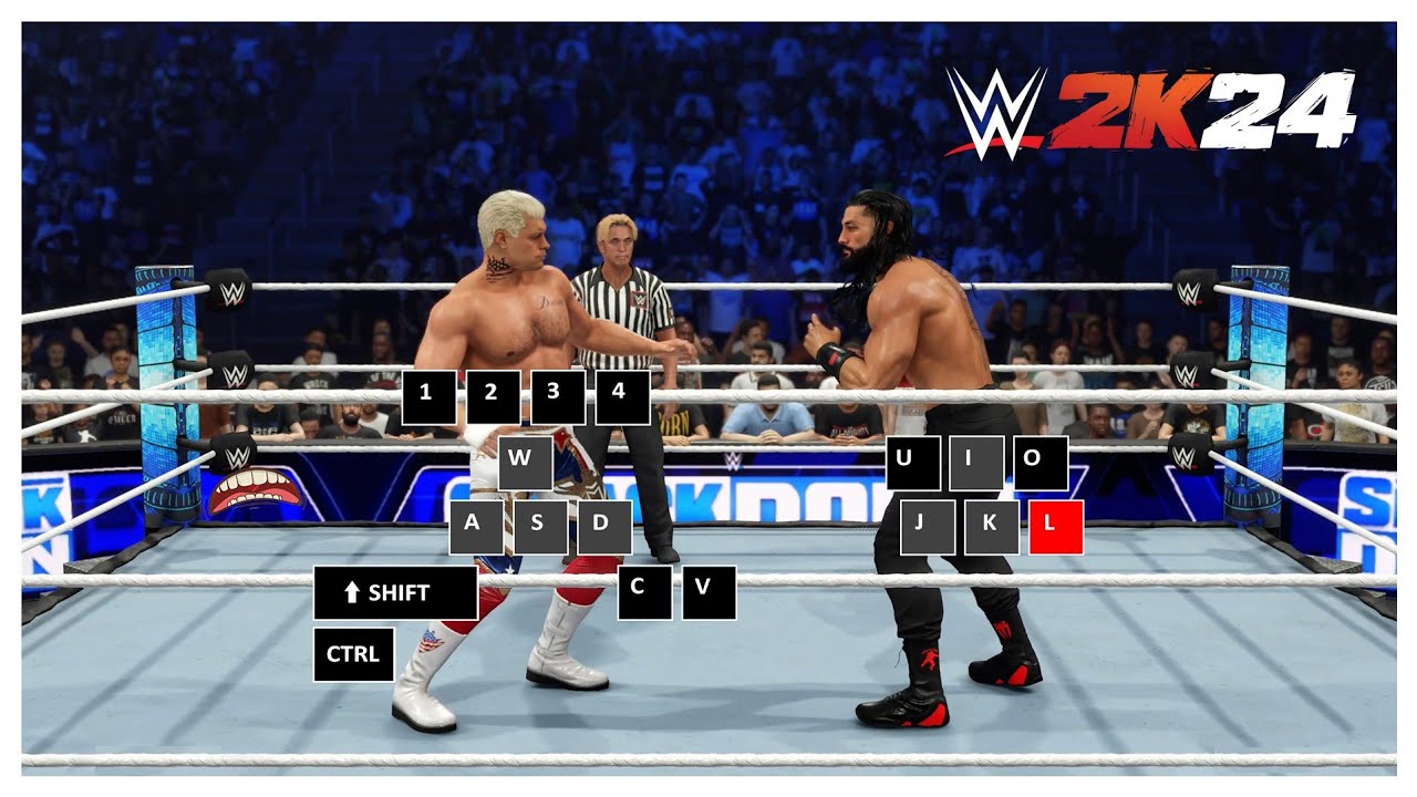 WWE 2K24 PC Controls - The Basics!