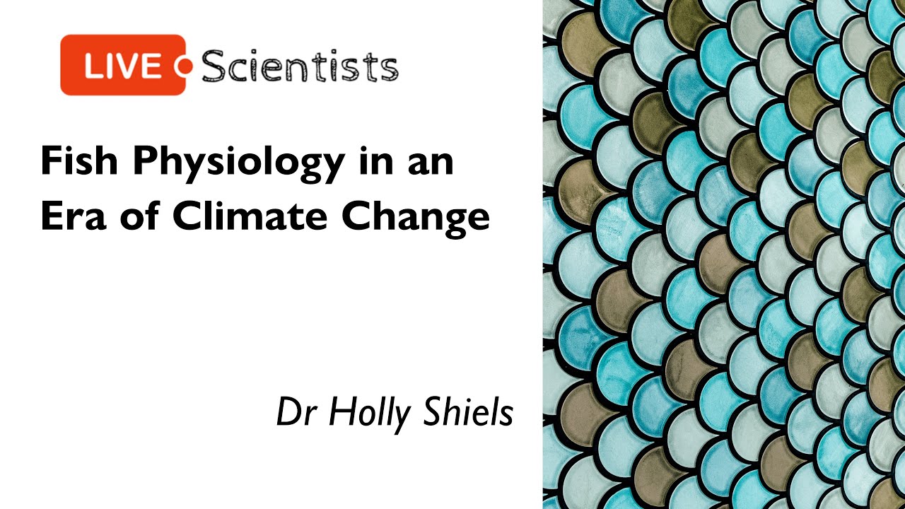 Fish Physiology in an Era of Climate Change | Dr Holly Shiels | 19 January 2021