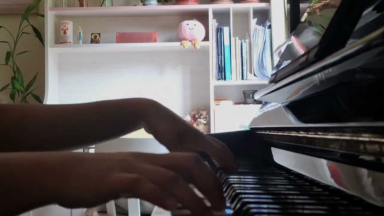 Mice On Venus - C418 (Piano cover)