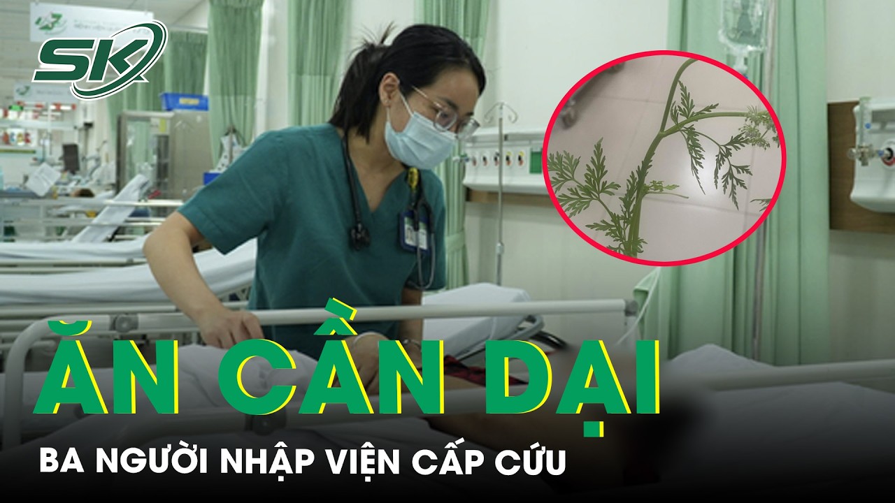 Ăn cần dại ba người nhập viện cấp cứu | SKĐS