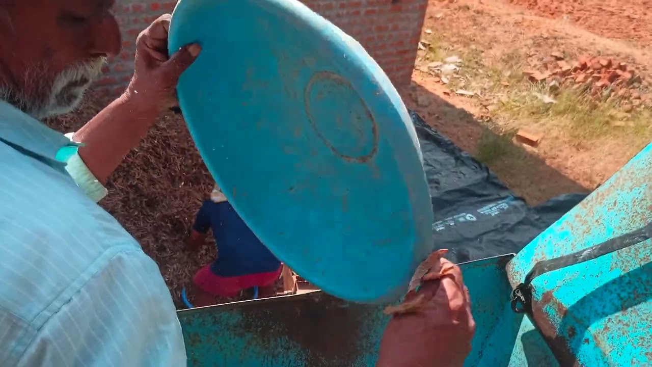 HARVESTING OF PEGION PEA IN THRESHER