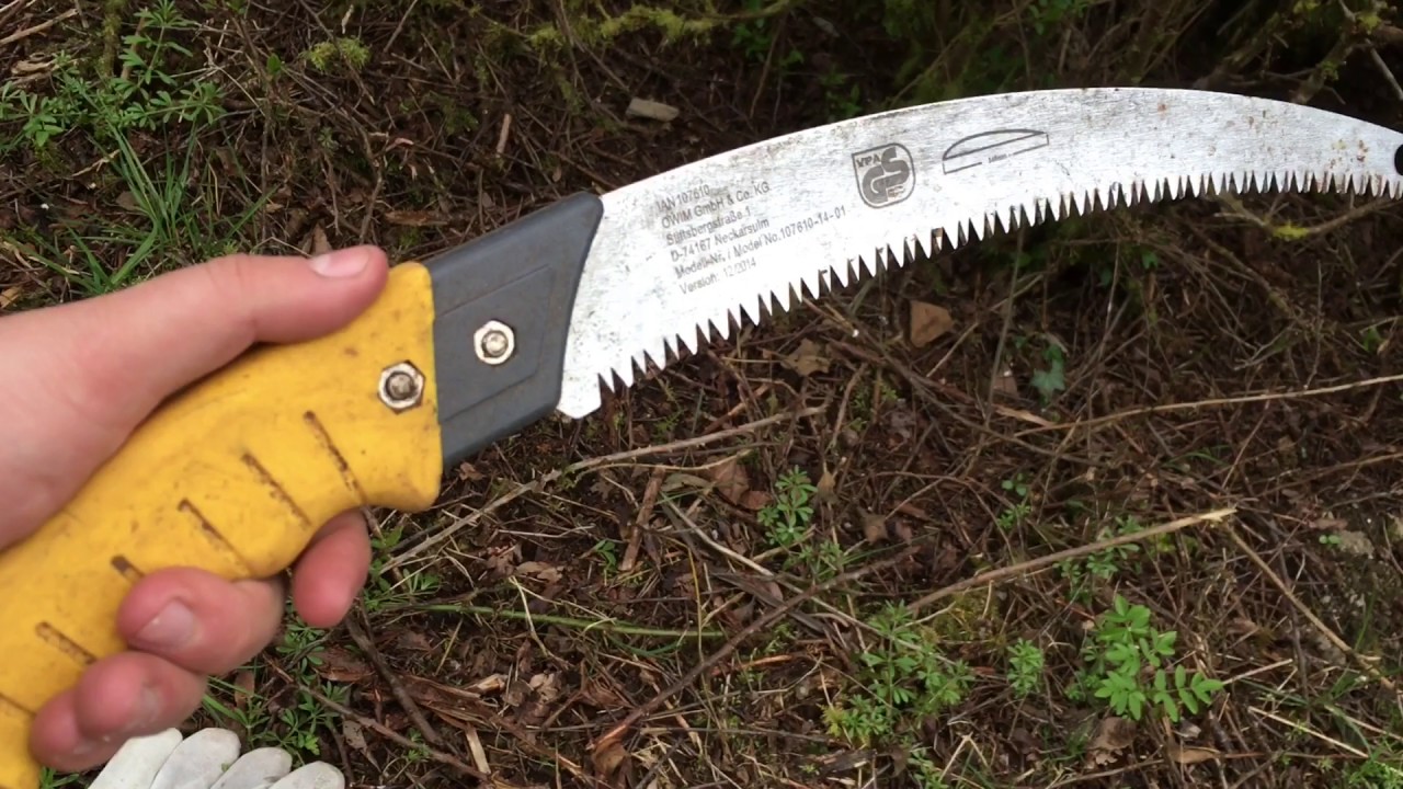 How to cut Blackthorn - Blackthorn Walking Sticks the Beginning