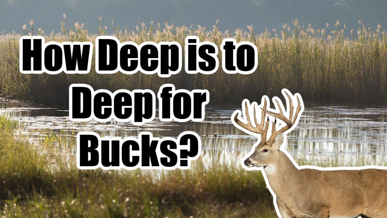 How deep of water will deer bed against?