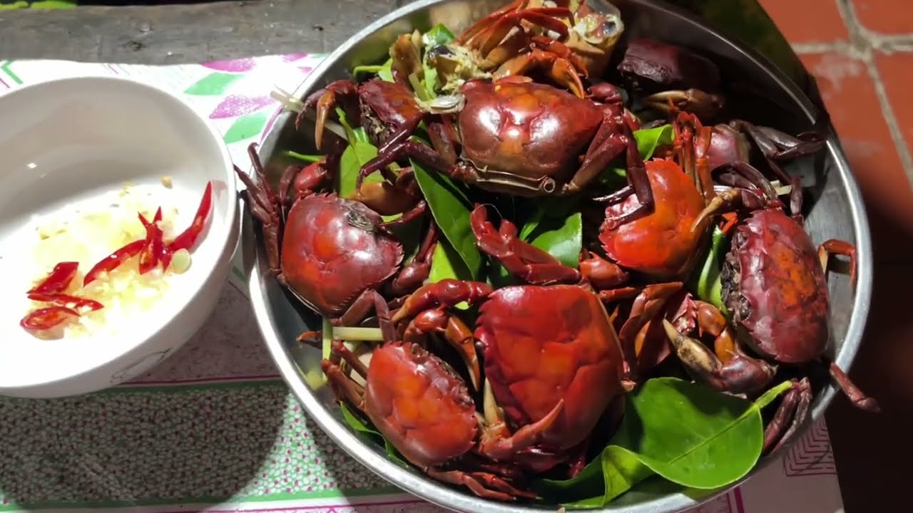 Cua Luộc Nước Dừa. Chiều Cuối Năm Se Se Lạnh Gia Đình Em Rủ Nhau Đi Kiếm Mồi #mientaysongnuoc