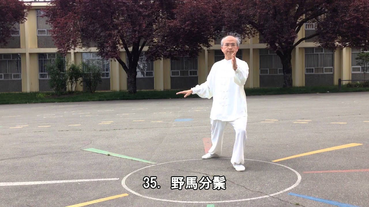 64式太極拳背向 (2014.05.17)