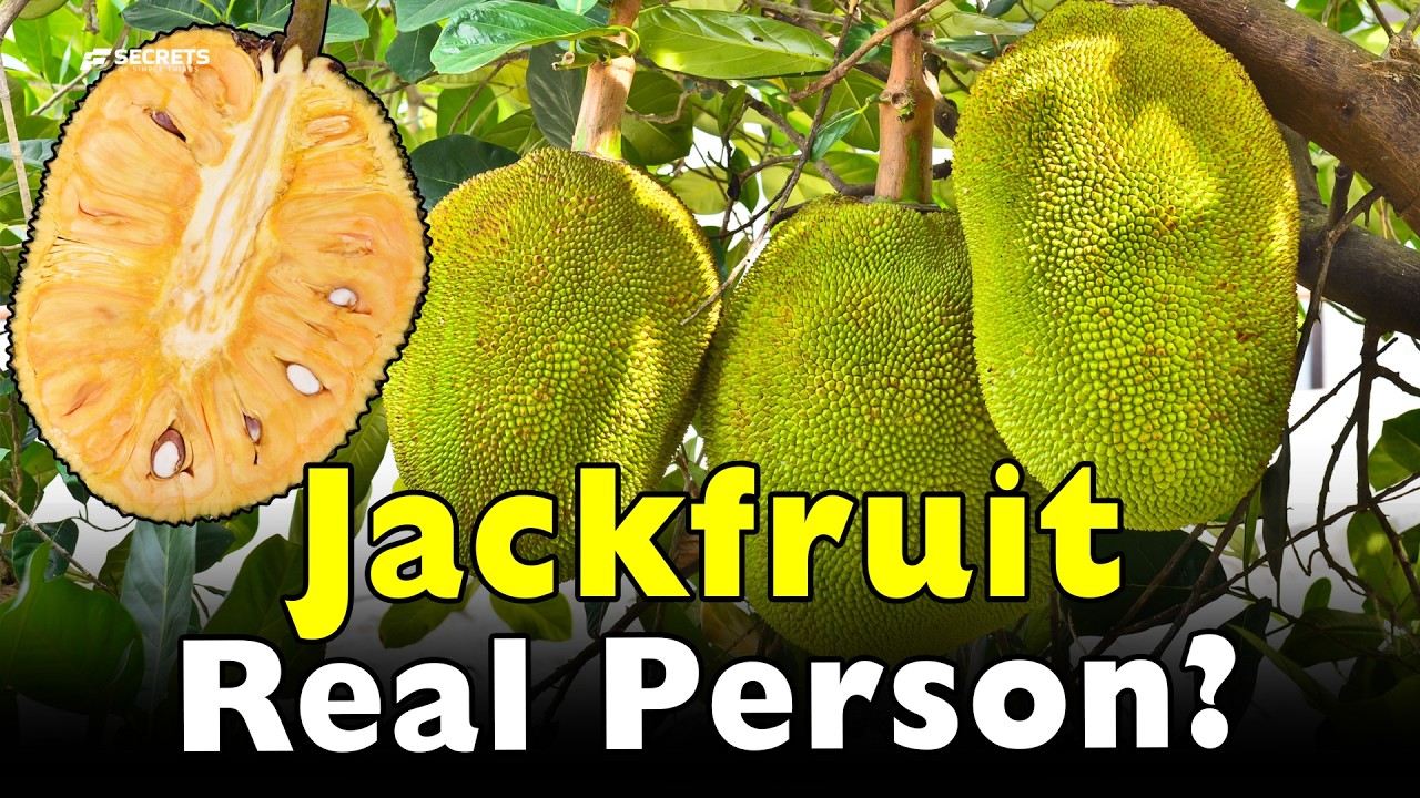Who Really Was 'Jack' in Jackfruit? The Unexpected Origin