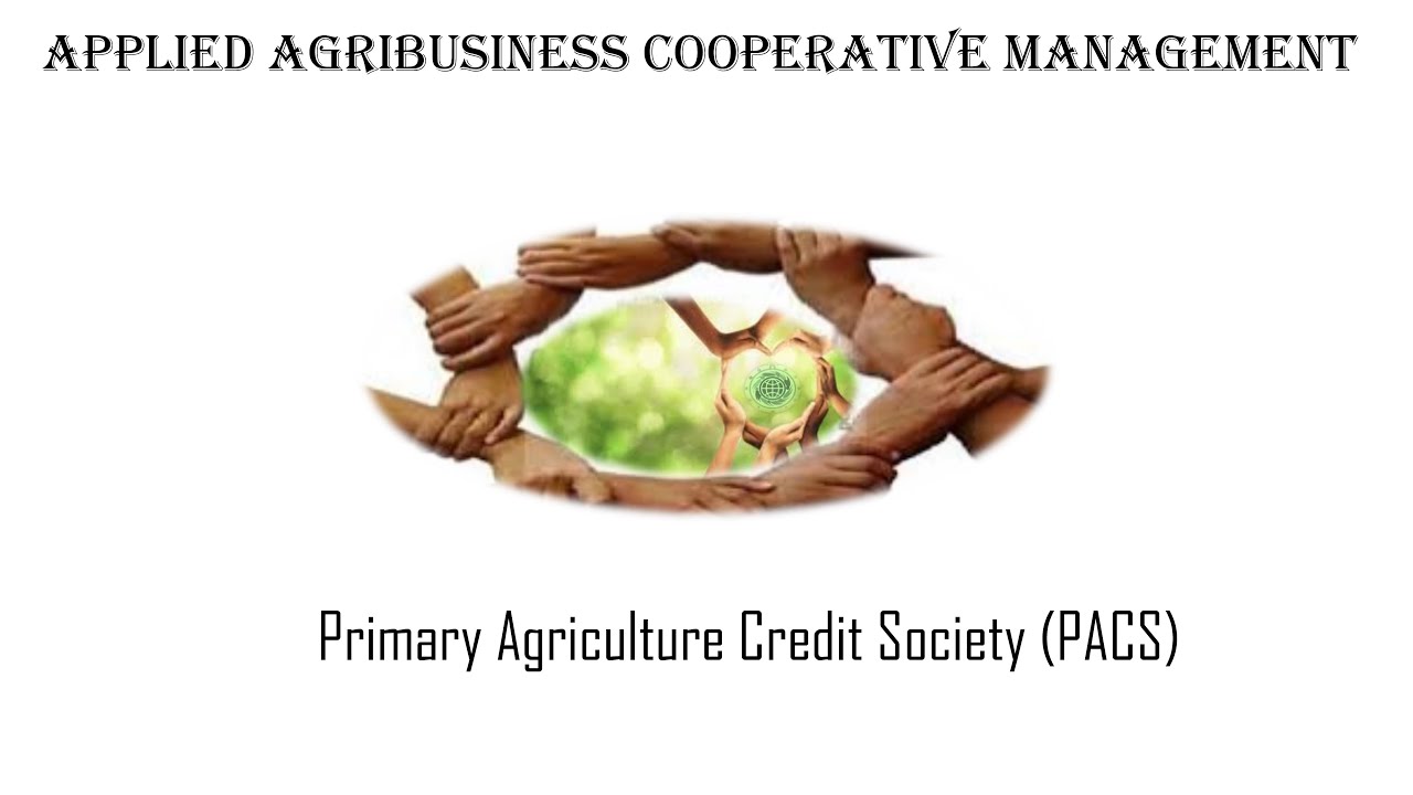 Primary Agriculture Credit Society