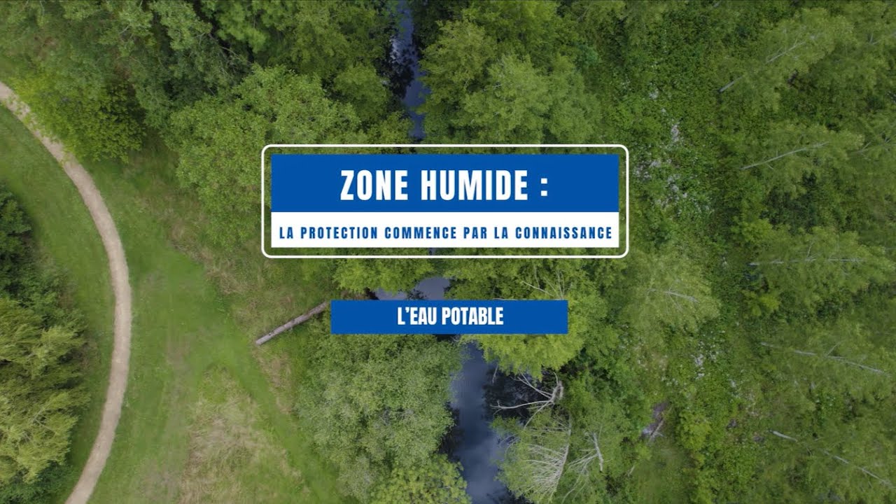 Les intérêts d'une zone humide pour la qualité de l'eau