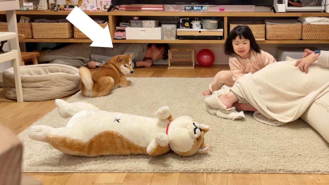 【パパ反省】かくれんぼに本気を出して娘を大泣きさせてしまう…