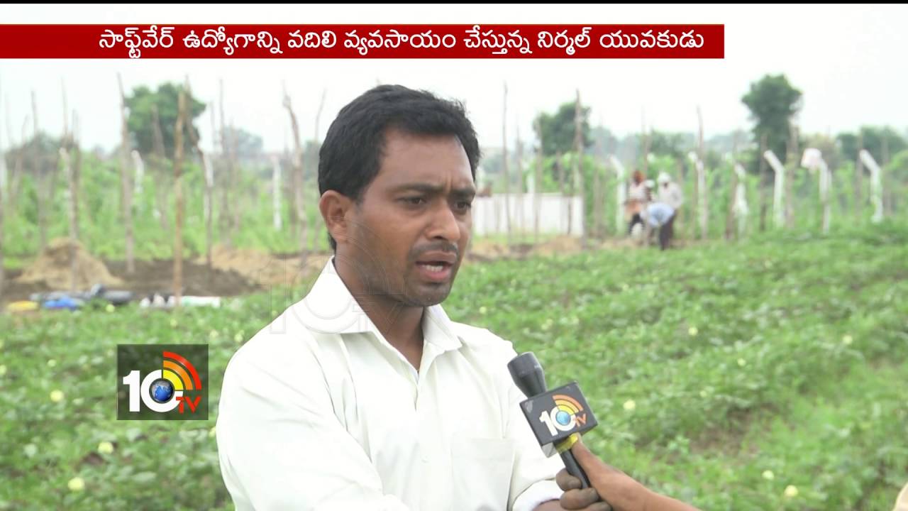 Nirmal Young Men Left His Software Job For Agriculture | He is Doing Organic farming | 10TV