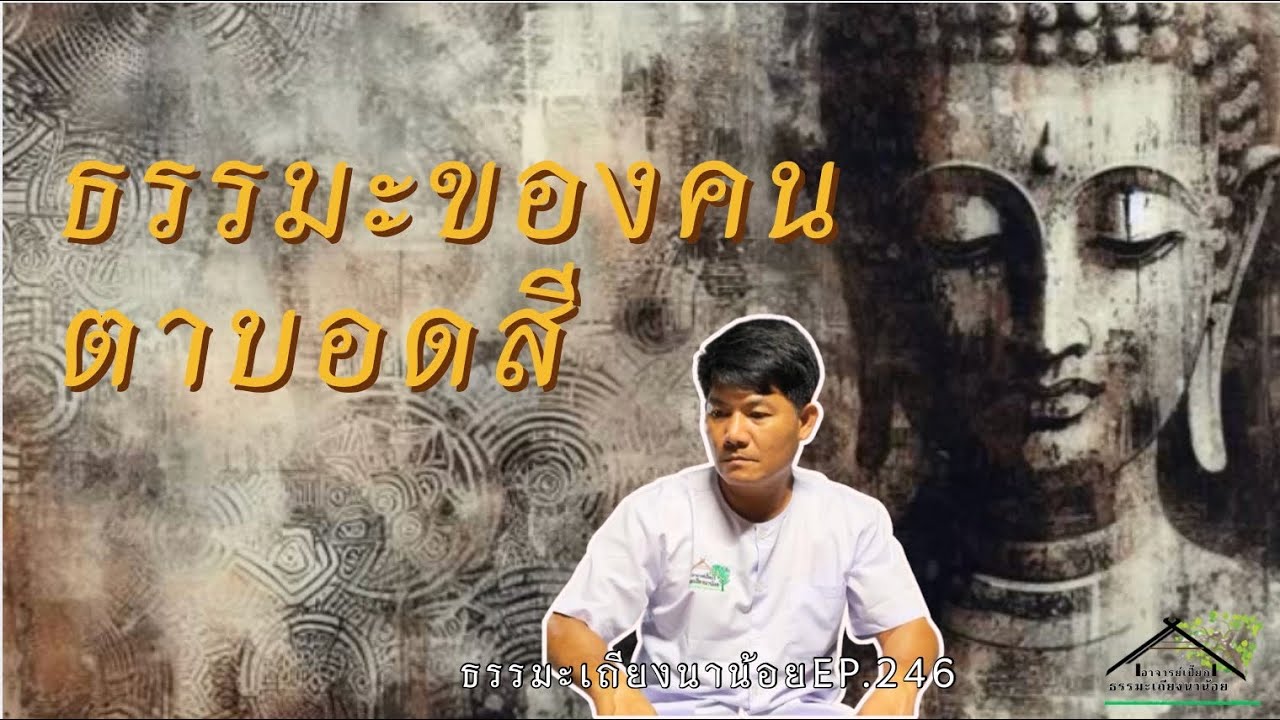 ธรรมะของคนตาบอดสี ธรรมะเถียงนาน้อยตอนที่ 246 #ธรรมะ #สมาธิ #สติ #buddha #meditation 