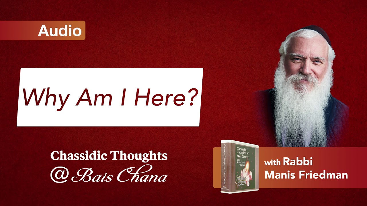 Why Am I Here?  - Rabbi Manis Friedman