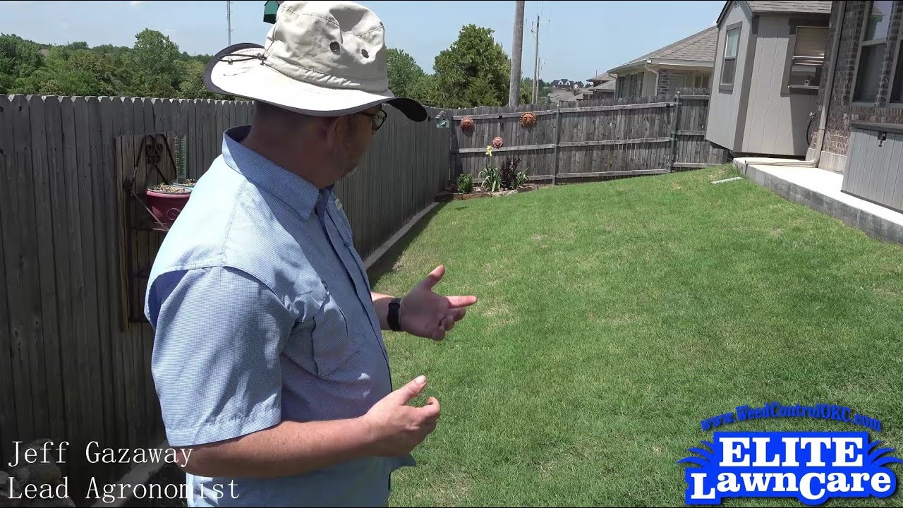 What Are Turf Genetics?