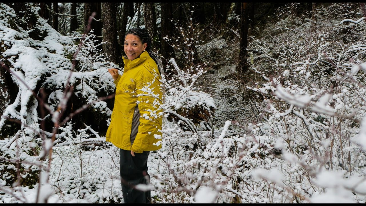 Exploring Our Alaskan Land Bought Sight Unseen in Winter! | Five Month Update