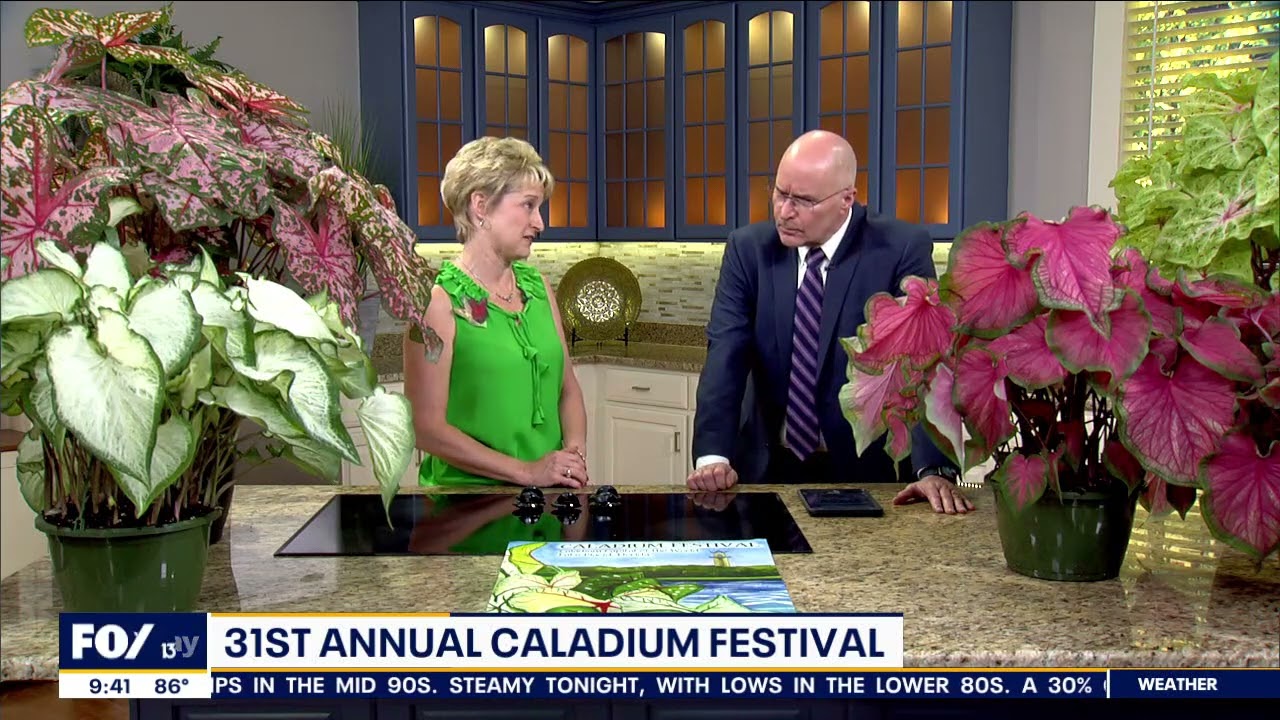 Caladium Festival - FOX 13 Tampa Bay