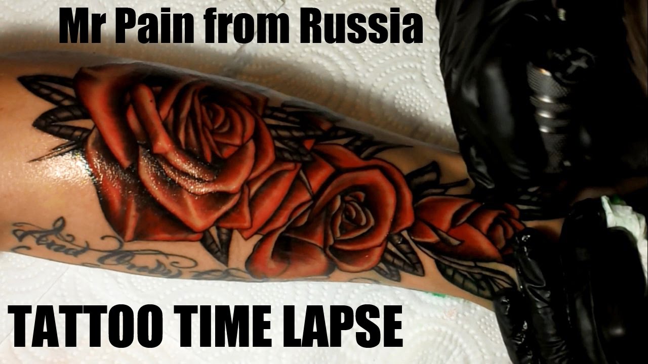 Red roses - Tattoo time lapse