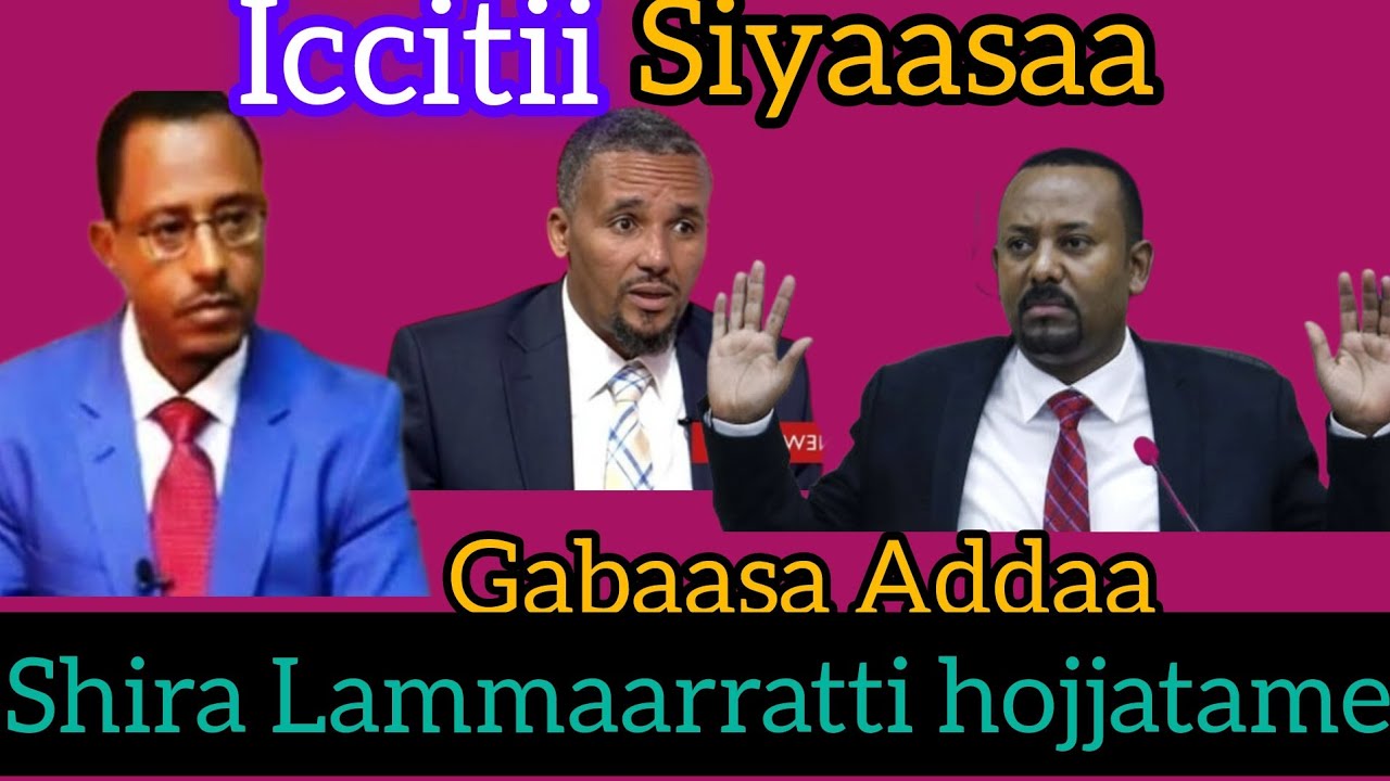 Shira Siyaasaa Lammaa Magarsaa irratti hojjatame hordofaa