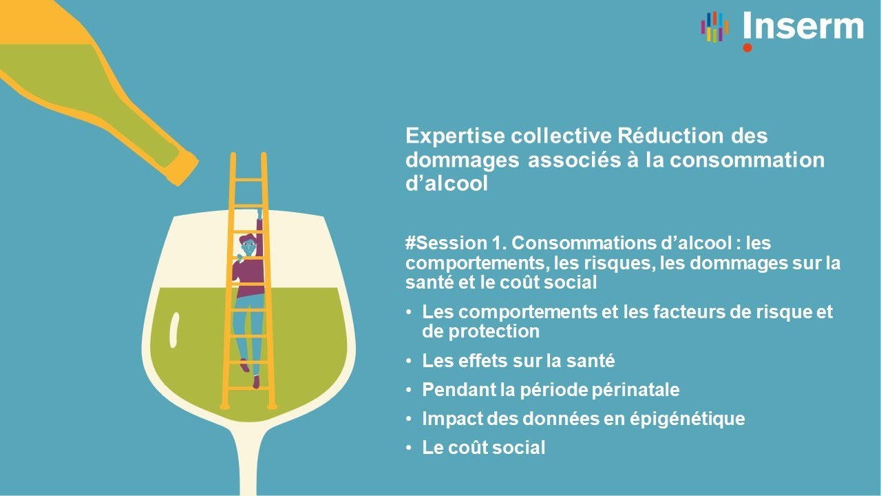 Expertise collective R&eacute;duction R&eacute;duction des dommages associ&eacute;s &agrave; la consommation d&rsquo;alcool #Session1