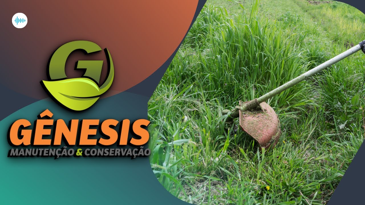 🌱[2021] Limpeza De Terreno 02 - Capina e Roçada  🌿 #limpezaprofunda #roçada #capina ✅🇧🇷