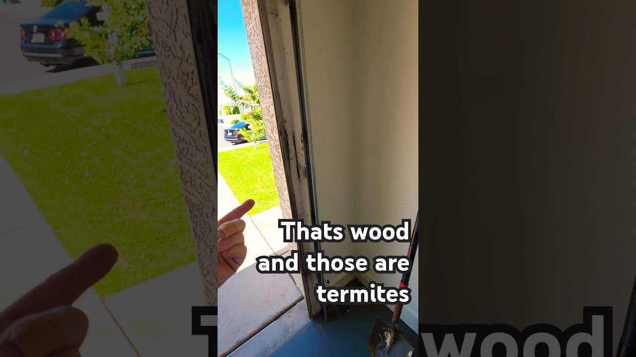 How Poor Grading & Drainage Can Ruin Your Home
