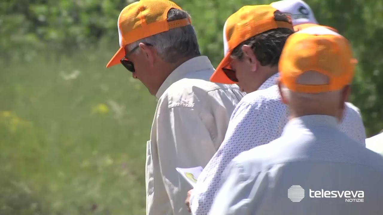Un quintale di rifiuti nel bosco della Cocevola: operazione di pulizia dei “Paladini del Territorio”