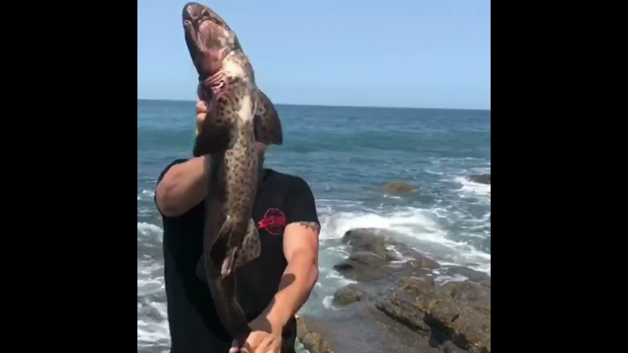 pescando por asturias