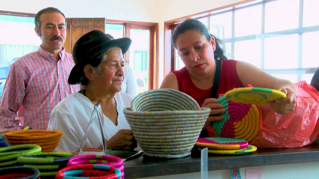 Cestería en Rollo Guacamayas