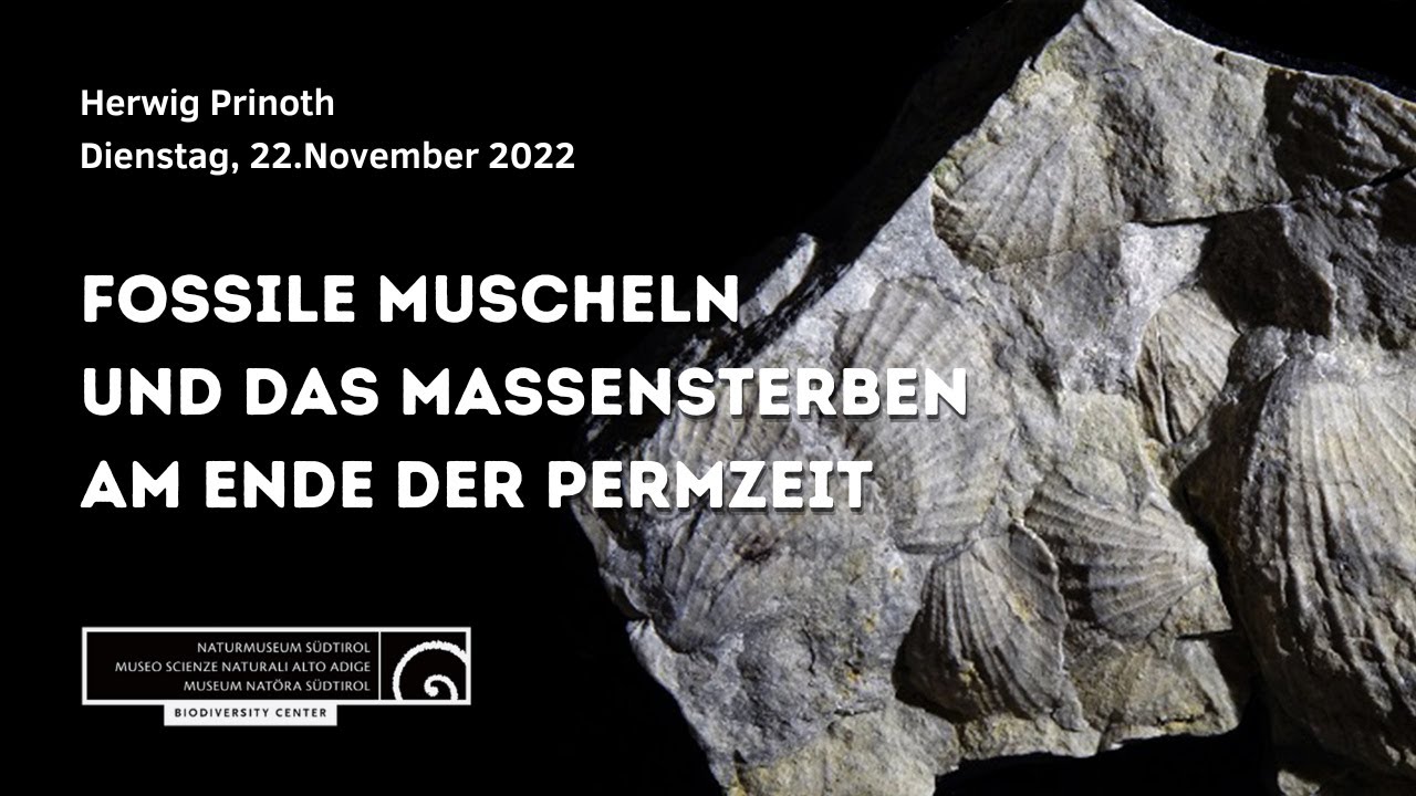 Fossile Muscheln und das Massensterben am Ende der Permzeit