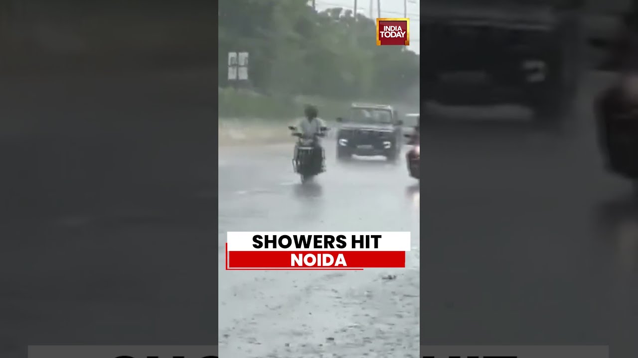 Noida Rain: Heavy Showers Drench Sector 116 | Noida News | UP News