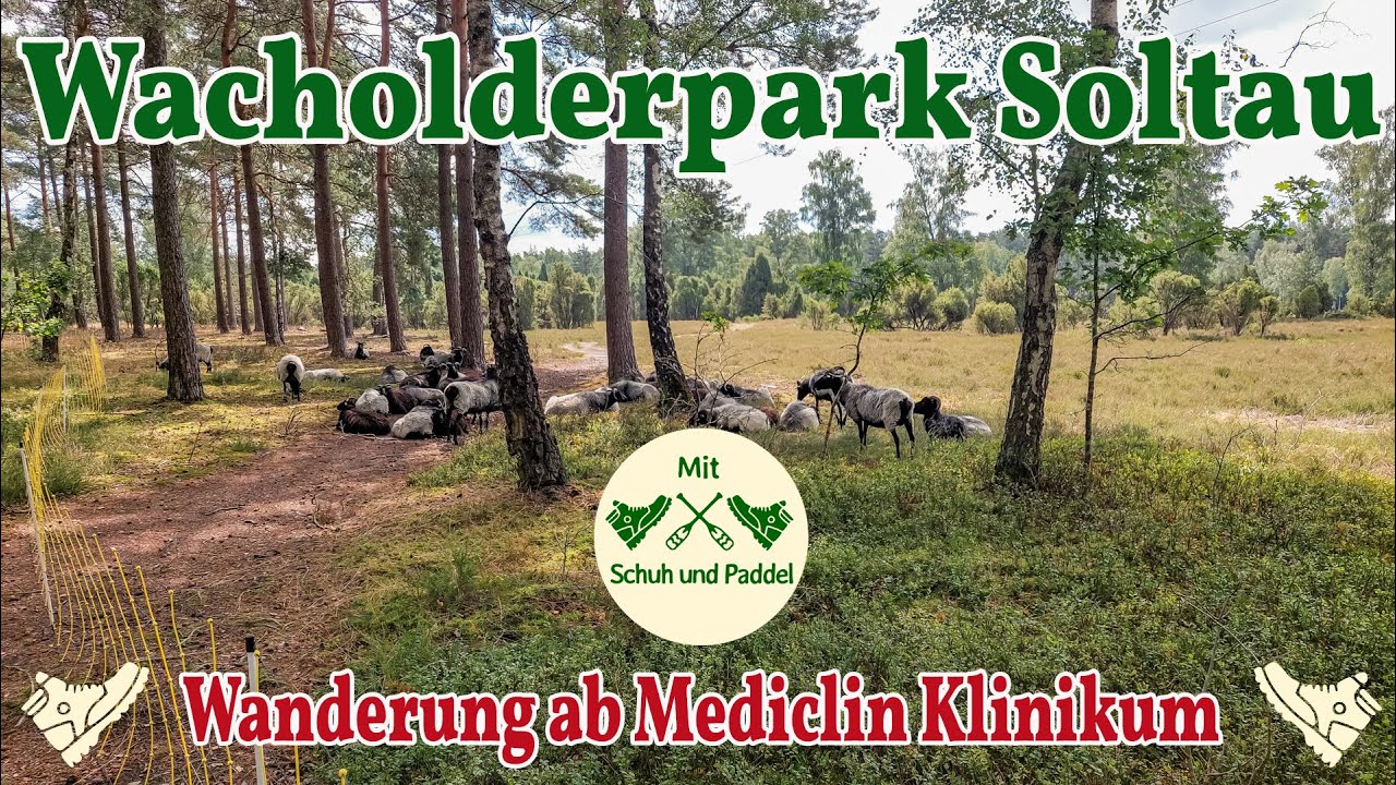 Wacholderpark Soltau - Wanderung ab Mediclin Klinikum