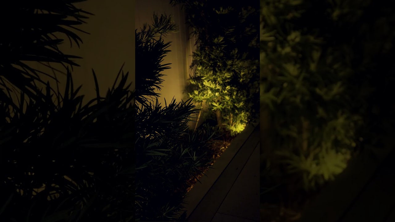 Solar Lights That Glow Up Your Garden | Mitre 10 Easy As