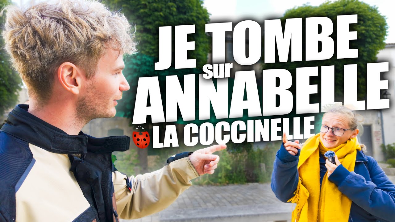 JE SUIS TOMBÉ NEZ-À-NEZ SUR ANNABELLE LA COCCINELLE - CLAP FINAL DE MON EXPÉDITION #vanlife #voyage