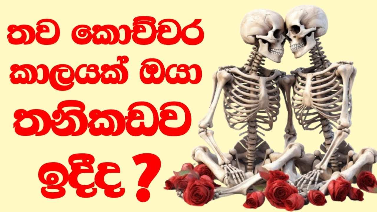 මන් කියන්නම් හරියටම l තනිකඩ කොල්ලන්ට කෙල්ලන්ට පමනයි