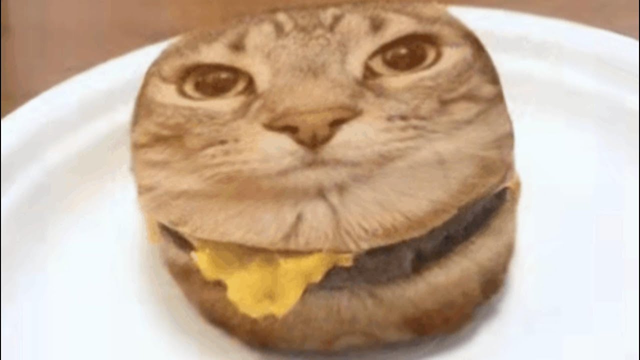 🍔巨抽象漢堡店🍟🥤
