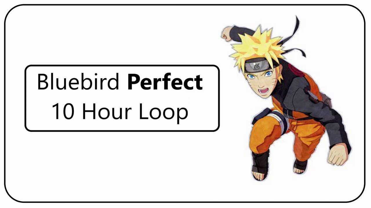 Bluebird 10 Hour 