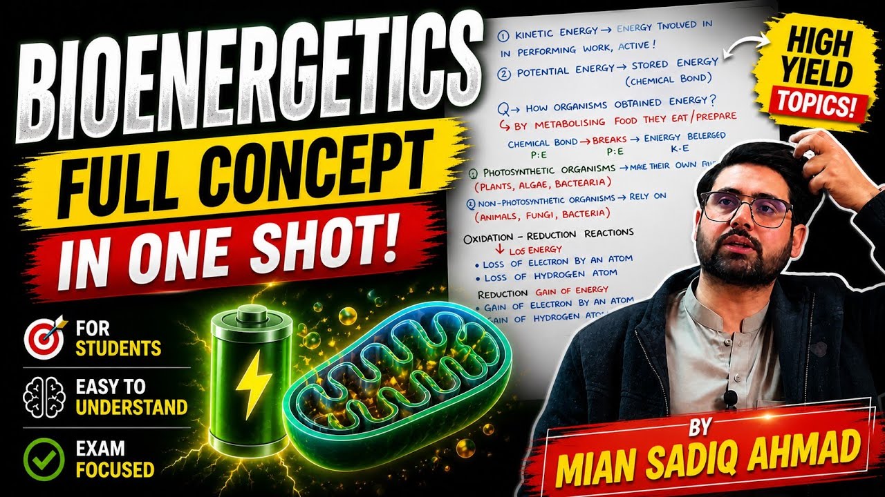 What is Bioenergetics? || Energy Molecule ATP in Living Cells || How Living Cells produce Energy 