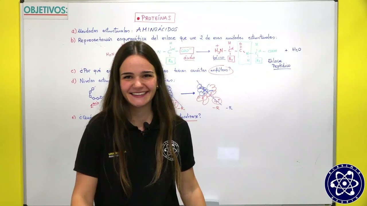 3. Proteínas. Cuestiones clave