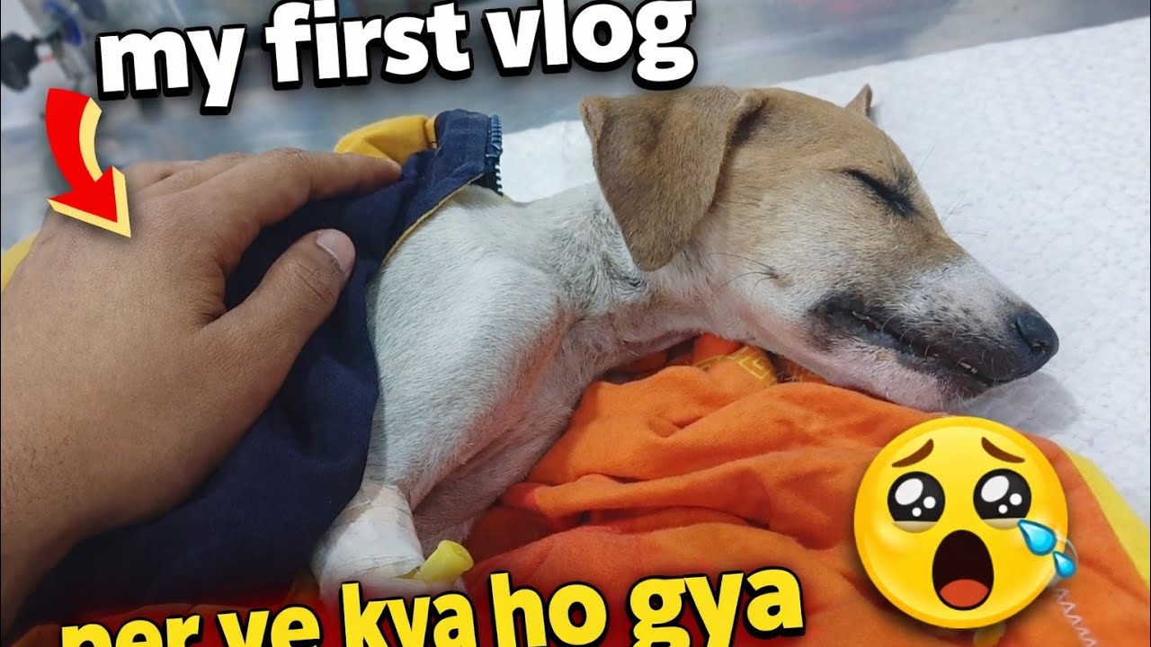 My first vlog per ye kya ho gya ||ye kya ho gya ||