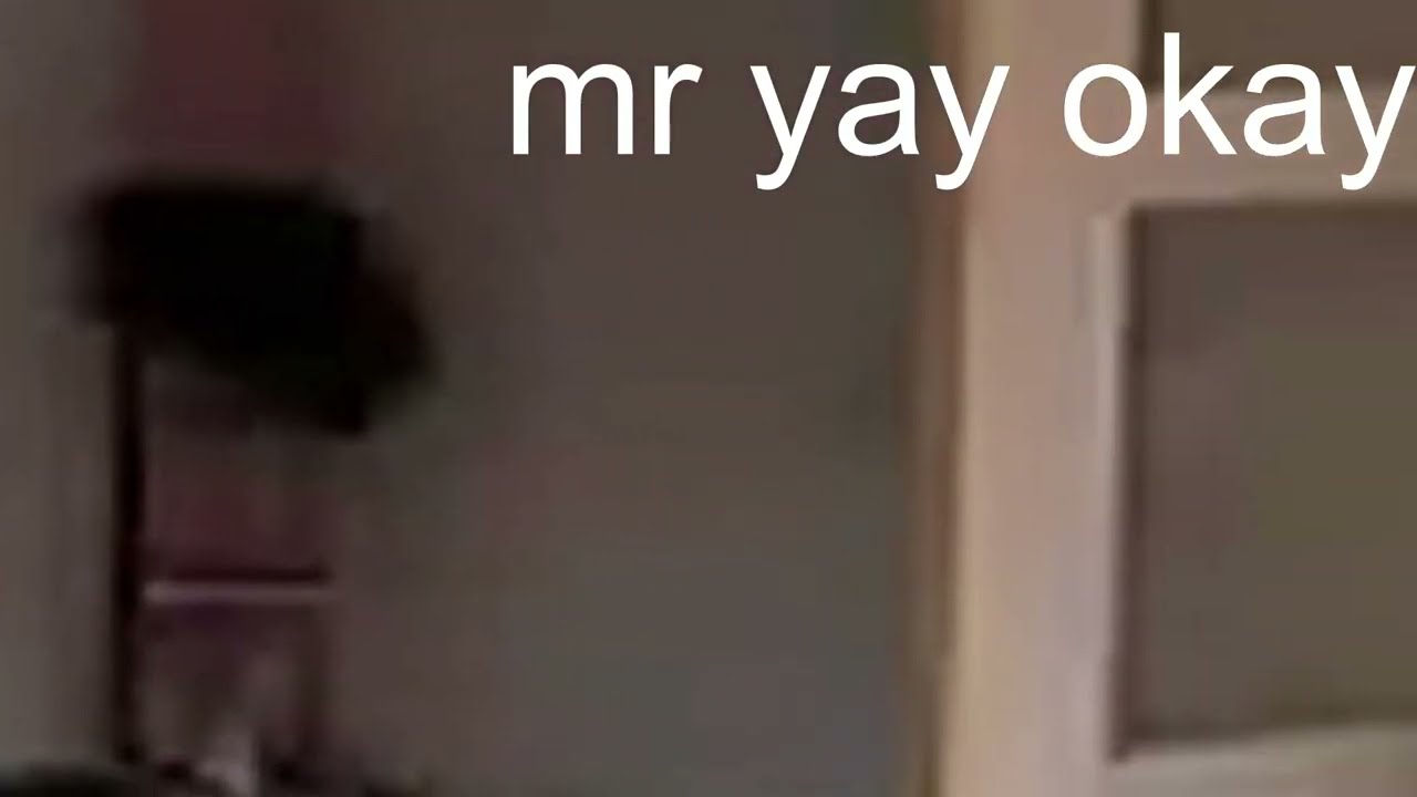 mr yay okay - napoleon