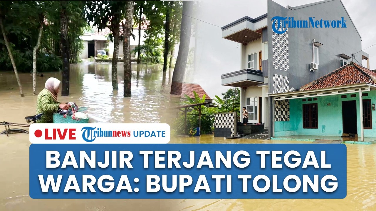 🔴LIVE: Hujan Deras Picu Banjir di Kabupaten Tegal, Warga Sebut Bencana Terparah dan Paling Besar