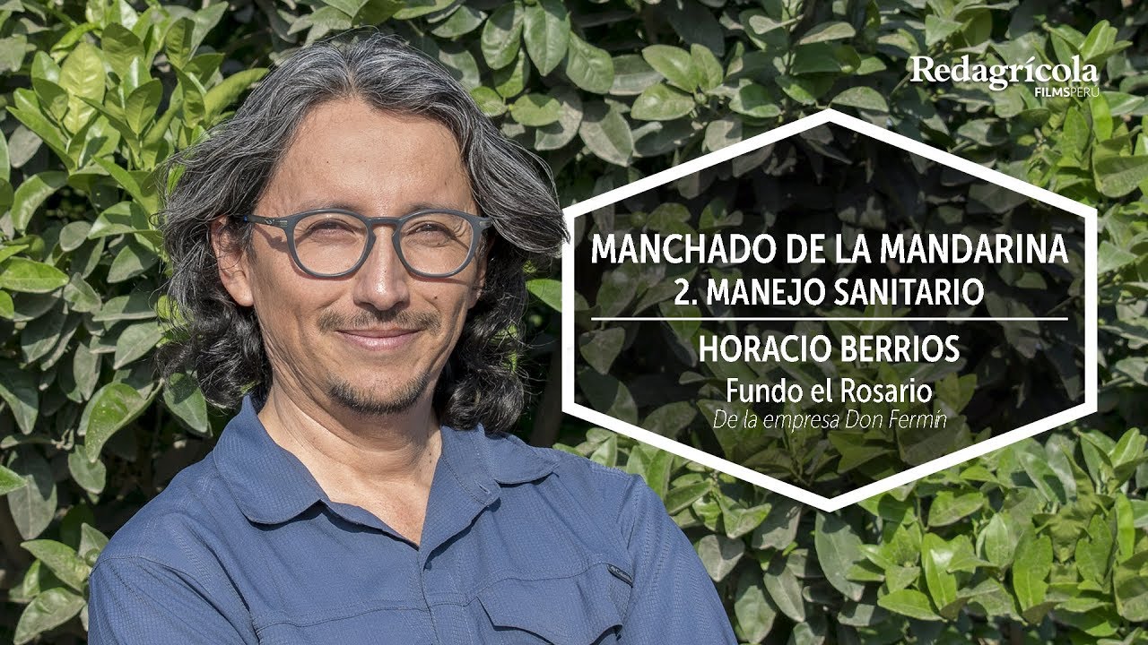 MANCHADO DE LA MANDARINA - 2.- MANEJO SANITARIO
