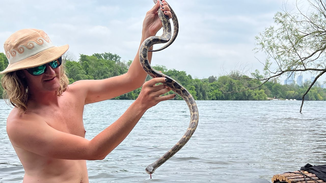 Lady Bird Lake is Full of Huge Snakes (do not come here)