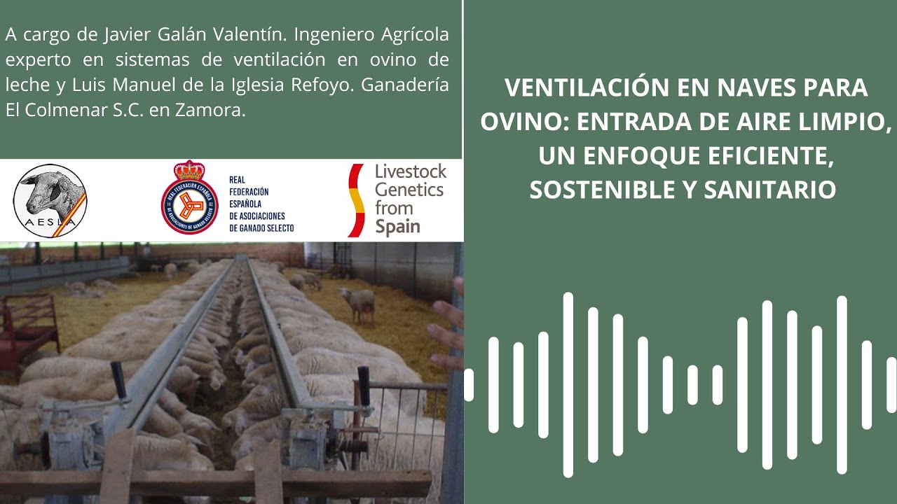 Ventilación en naves para ovino: entrada de aire limpio, un enfoque eficiente sostenible y sanitario