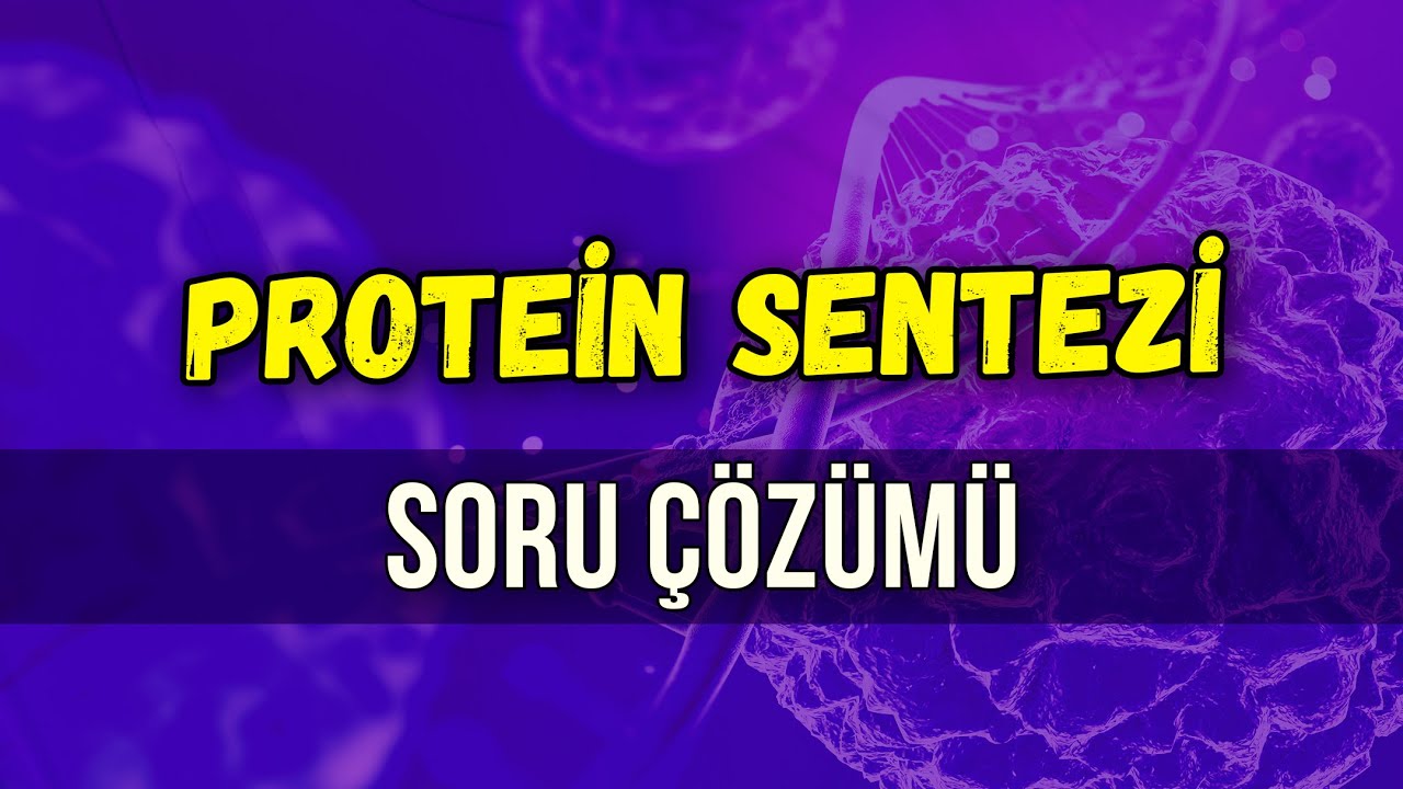 PROTEİN SENTEZİ SORU ÇÖZÜMÜ | Seda Hoca Biyoloji 🧬 #ayt2024