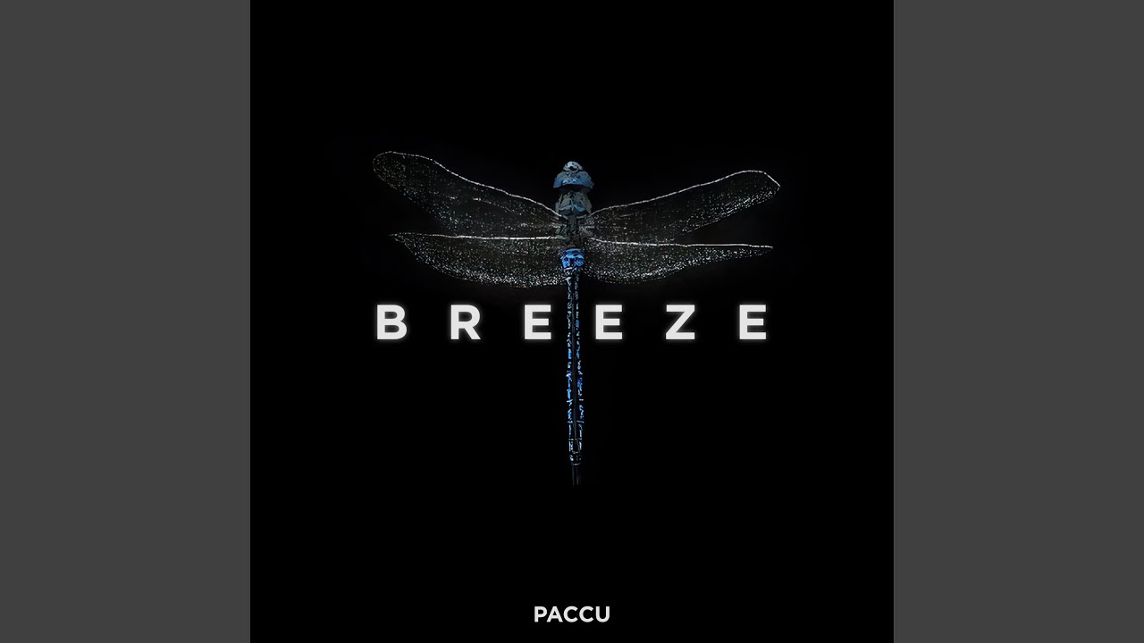 Breeze (Extended Mix)