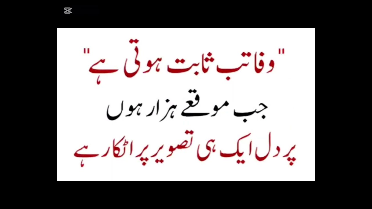 Golden word❤️❤️🌟Mumtaz Farooq