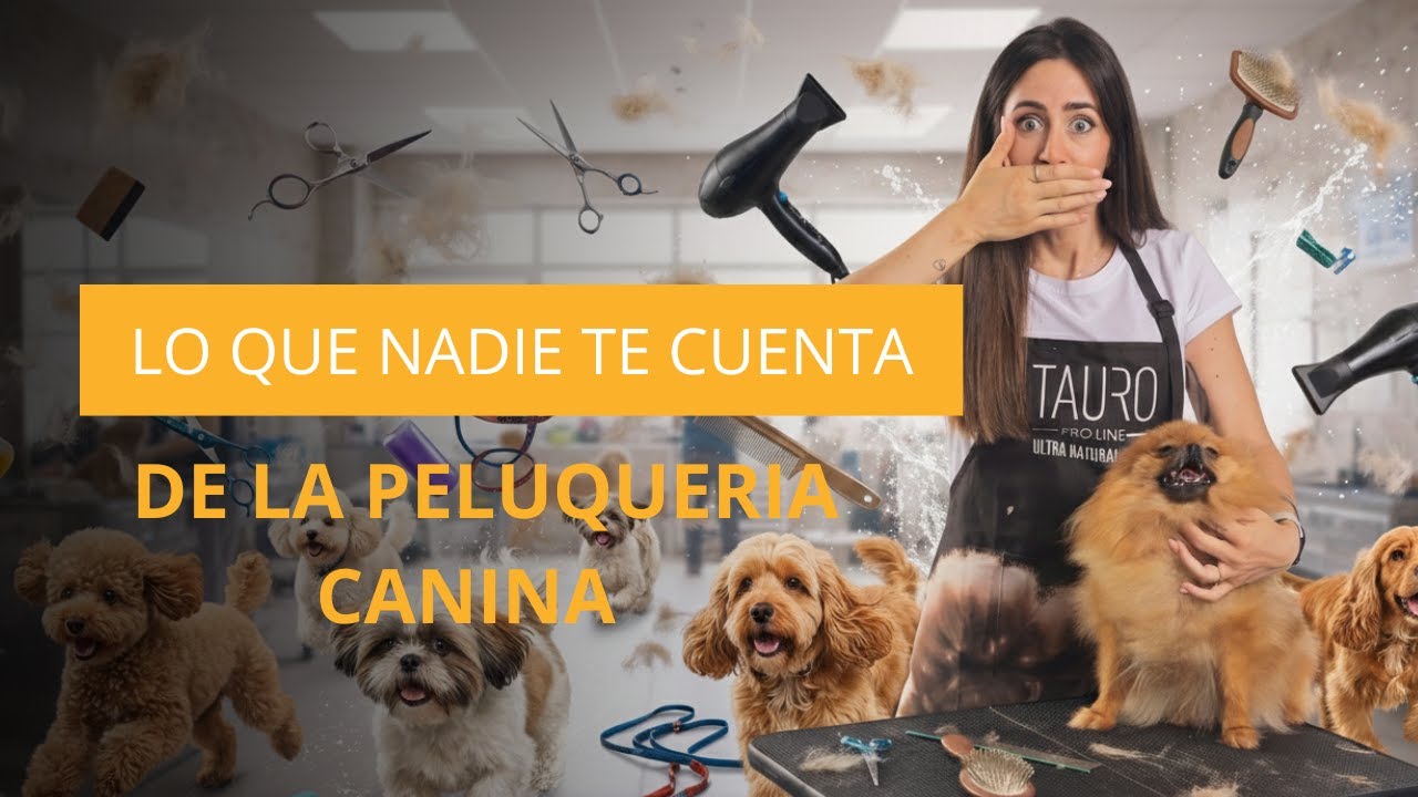 Lo que nadie te cuenta del negocio de grooming.
