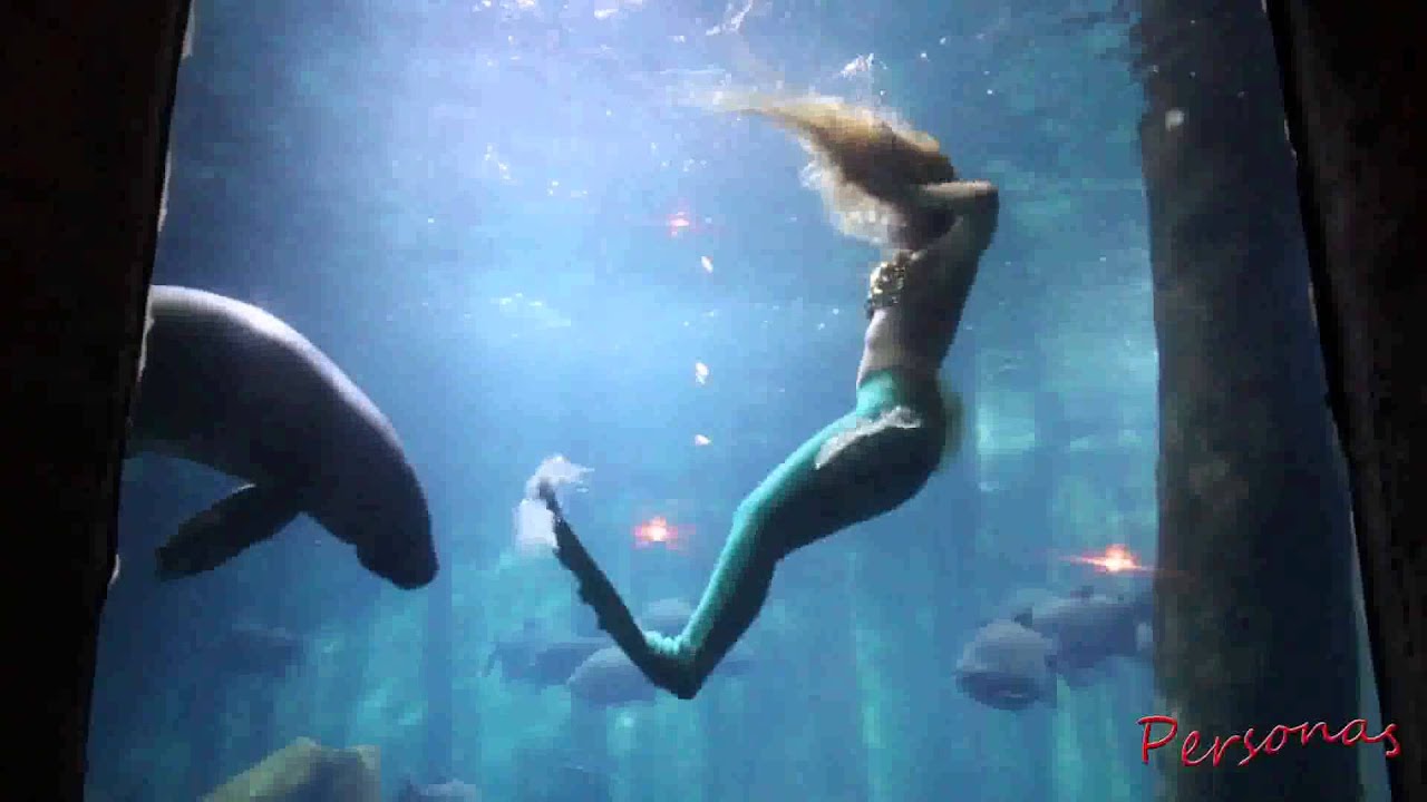 Mirella Ferraz - A sereia brasileira - Projeto Personas